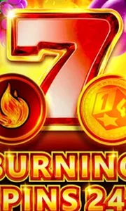 Burning Spins 243
